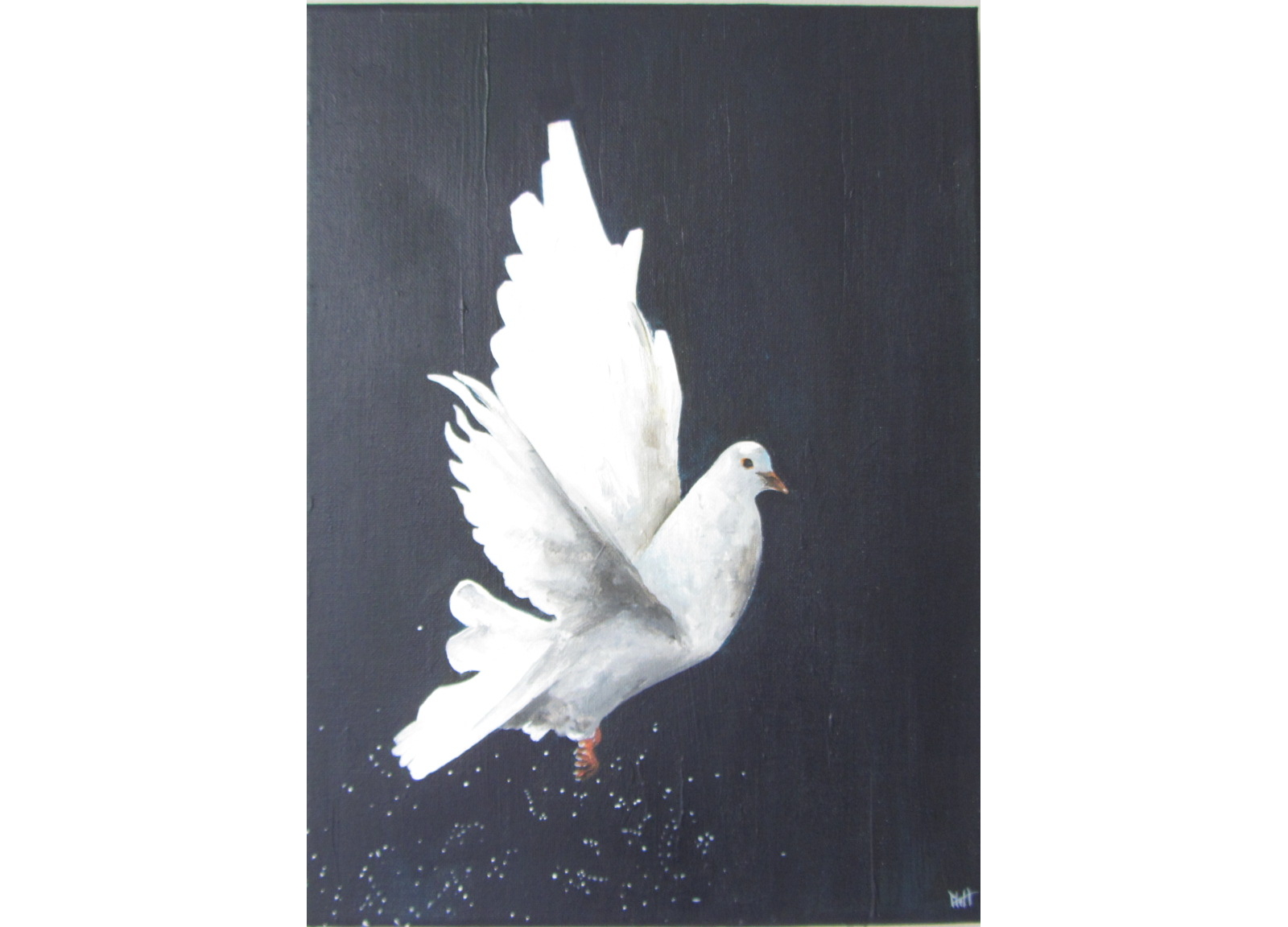 duif acryl op canvas