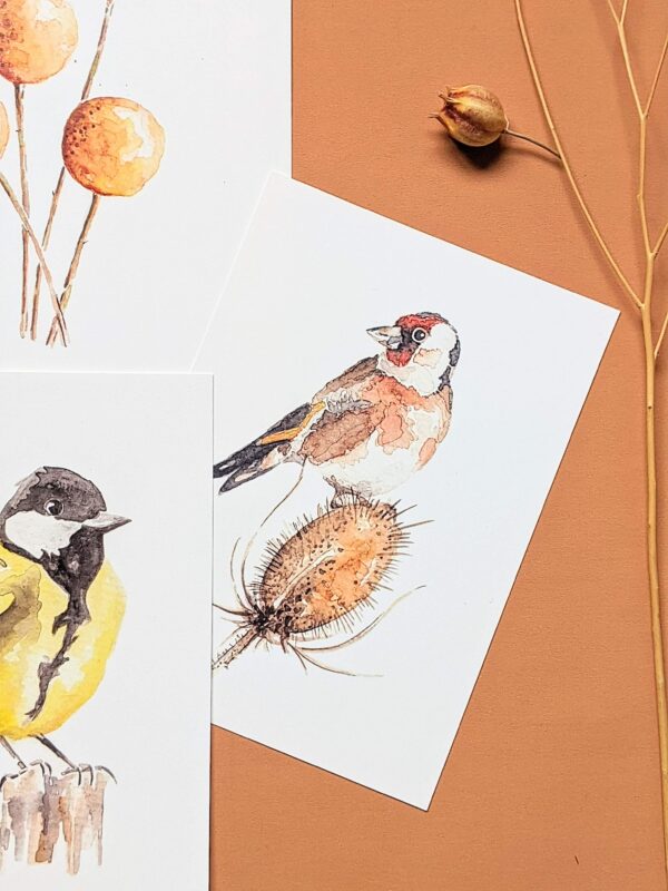 Cadeauset van prints kaarten van vogels puttertje en koolmees.