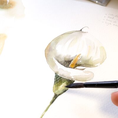 Calla schilderen in de 1-daagse workshop Aquarel Magie