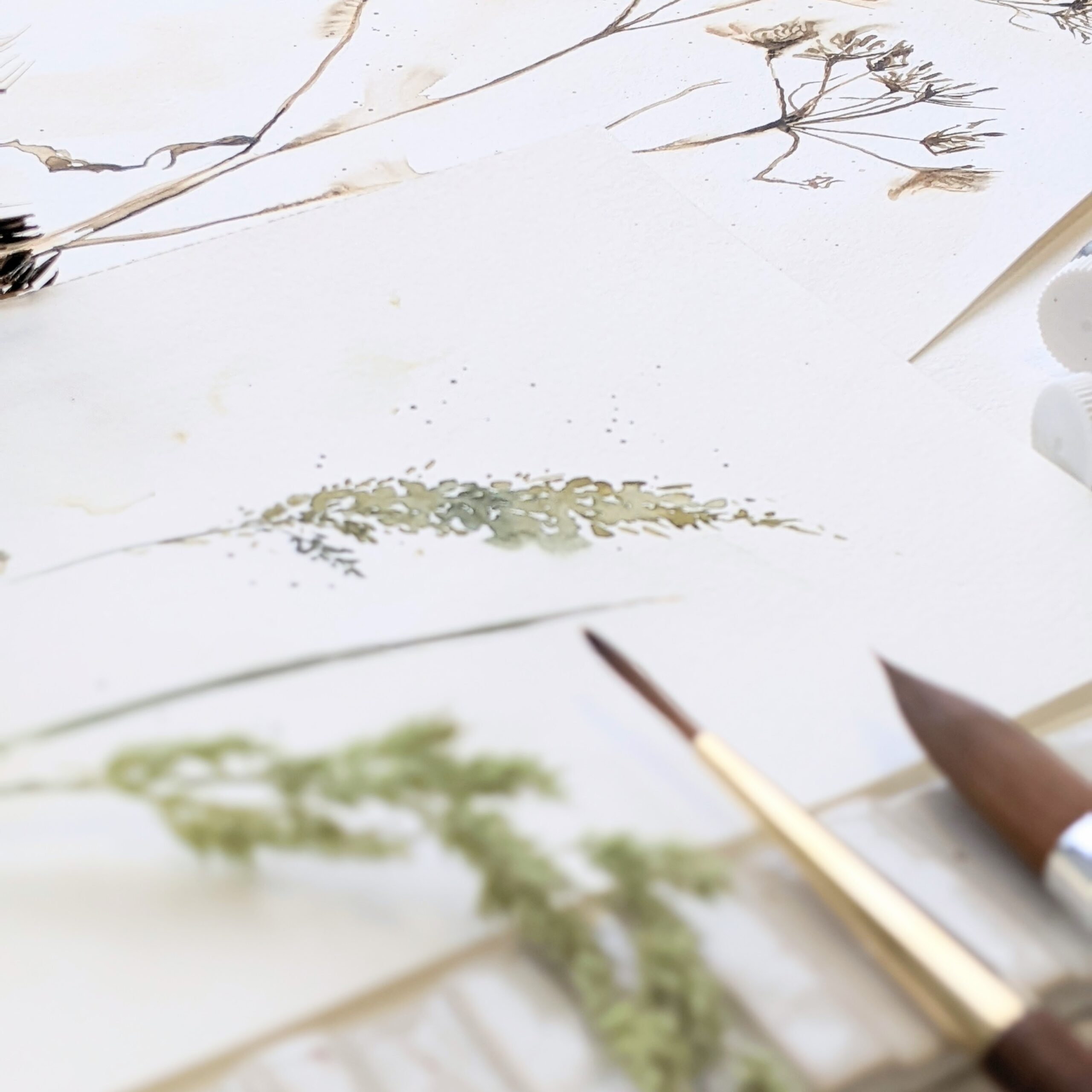 Workshop Aquarel botanische line-art in Amersfoort