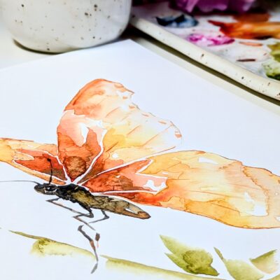 Instagram workshop Schilder je vrij als een vlinder